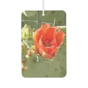 Cactus Tough and Beautiful car air freshener