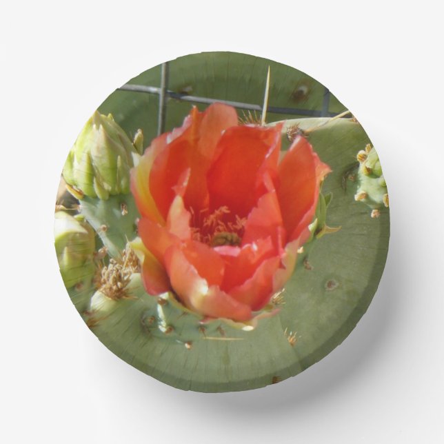 Cactus Tough and Beautiful paper bowls Paper Plate (Front)