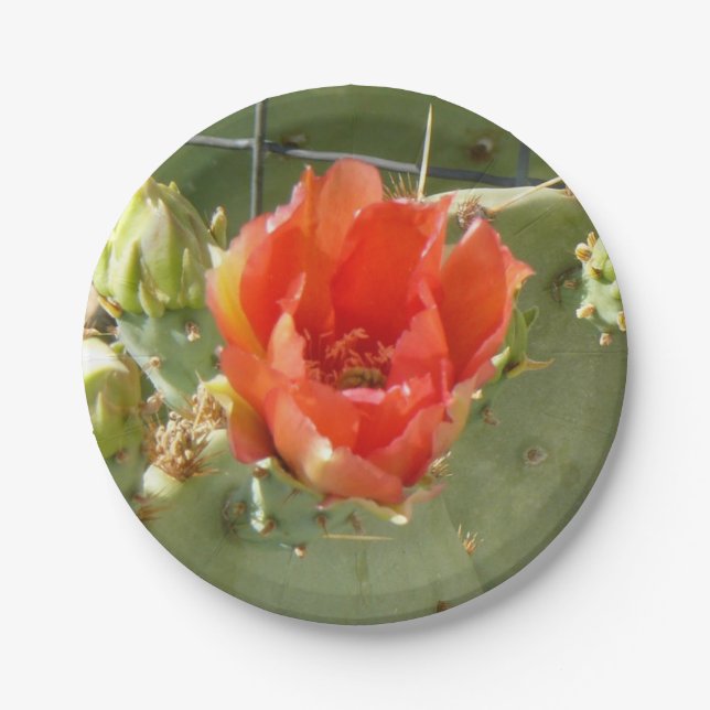 Cactus Tough and Beautiful paper plates (Front)