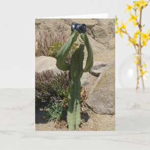 Cactus Tourist - carte