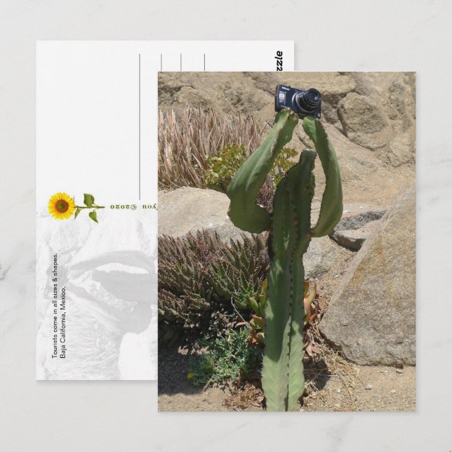 Cactus Tourist - carte postale (Devant / Derrière)