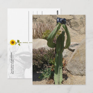 Cactus Tourist - postcard