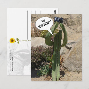 Cactus Tourist, Say CHEEESE - postcard