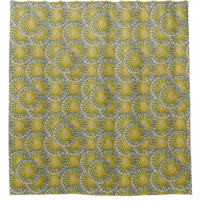 Cactus Tropical Botanical Plant Photo (Front)