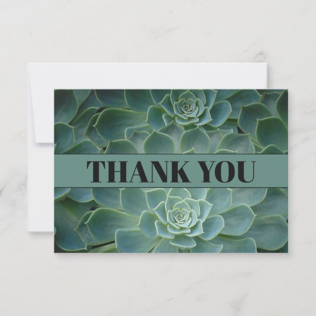Cactus verts / Cartes de remerciements succulentes (Devant)