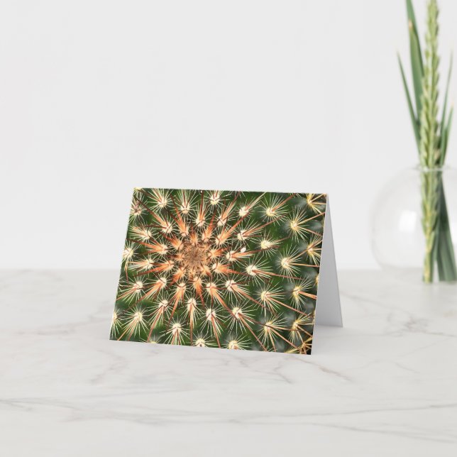 Cactus with starburst spines holiday card (Front)
