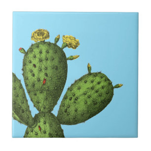 Cactus with Yellow Flowers Tile
