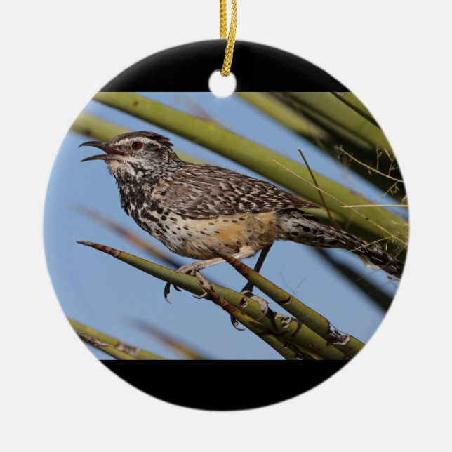 Cactus Wren Ceramic Ornament (Front)