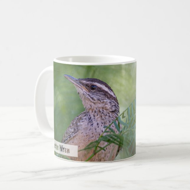 Cactus Wren Matthew 6:25 KJV Coffee Mug (Front Left)