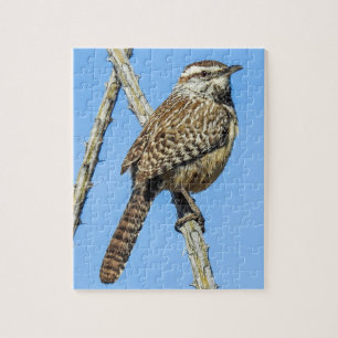 Cactus Wren Puzzle