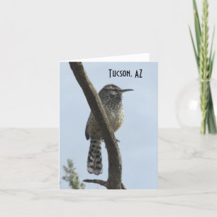 Cactus Wren Tucson Arizona Card