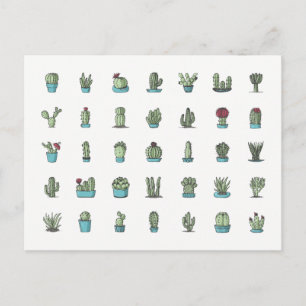 Cactuses Succulents Plants Hand Drawn Botanical Postcard