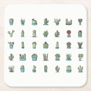 Cactuses Succulents Plants Hand Drawn Botanical Square Paper Coaster