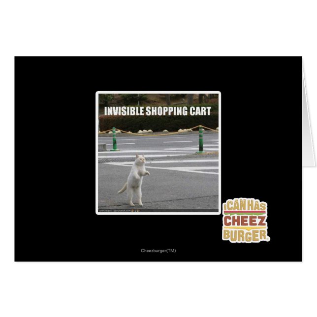 CADDIE INVISIBLE (Devant horizontal)