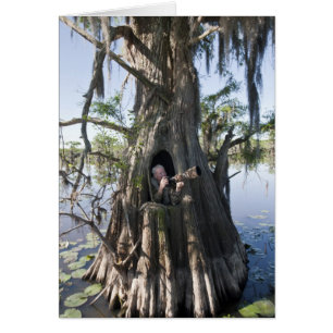 Caddo Lake, hunting blind