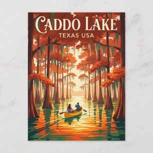 Caddo Lake USA Postcard
