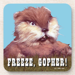 Caddyshack   Freeze, Gopher! Coaster