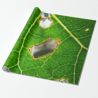 Cadeau Comme vu un papier d'emballage de feuille