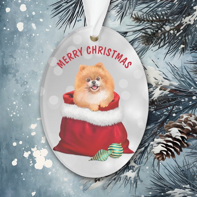 Cadeau de Chien Poméranie mignon Cadeau Surprise O (Créateur téléchargé)