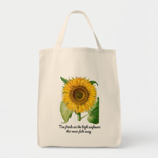 Cadeau de fleur d'ami de sac à provisions de (Devant)