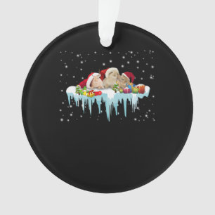 Cadeau de lapin Trois lapins vraiment Noël