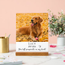 Cadeau de souvenir de perte de chien de compagnie