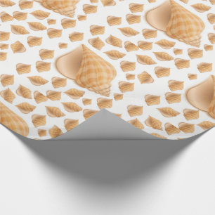 Cadeau Envelopper les coquillages en papier