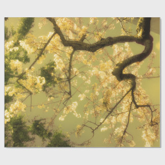 Cadeau Envelopper Papier Rouleau Cerisier Fleur Branches