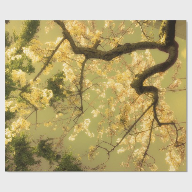 Cadeau Envelopper Papier Rouleau Cerisier Fleur Branches  (Plat)