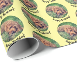 Cadeau Joli papier d'emballage jaune Golden Doodle