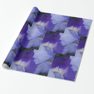 Cadeau Papier à enveloppement brillant Iris Fleur violet