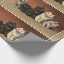 Papier à enveloppement de cinq chatons mignons