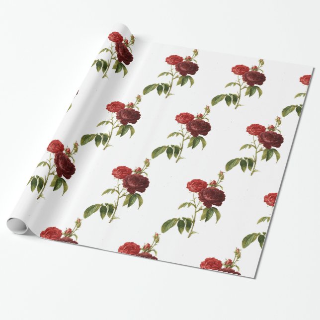 Cadeau Papier à envelopper, ROSE de semences HEUREUX de 3 (Déroulé)