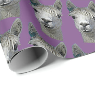 Cadeau Papier d'alpaga sur le mauve