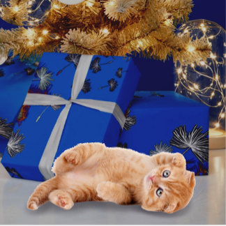 Cadeau Papier d'emballage