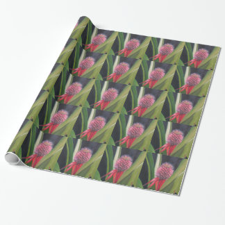 Cadeau Papier d'emballage d'ANANAS