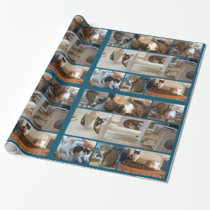 Cadeau Papier d'emballage de chats