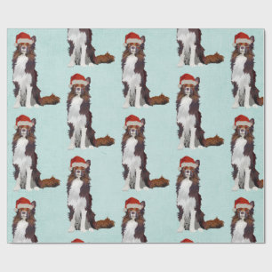 Cadeau Papier d'emballage de COLLEY DE FÊTE