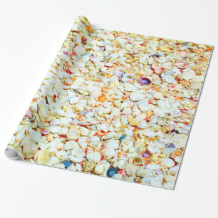 Cadeau Papier d'emballage de coquillage