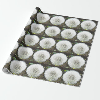 Cadeau Papier d'emballage de DUVET de PISSENLIT