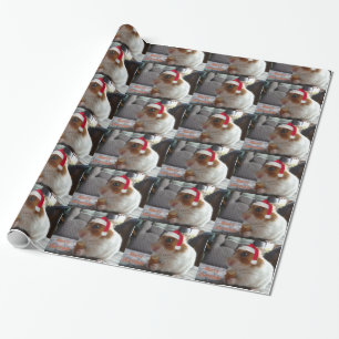 Cadeau Papier d'emballage de hamster de Joyeux Noël