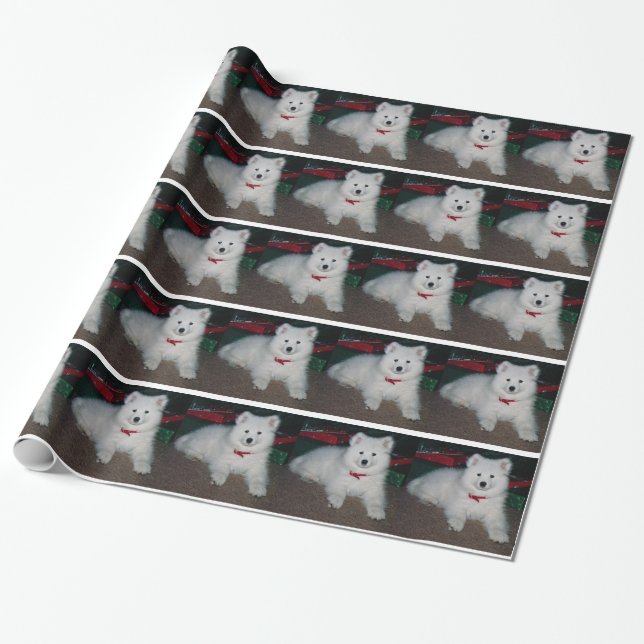 Cadeau Papier d'emballage de Samoyed (Déroulé)
