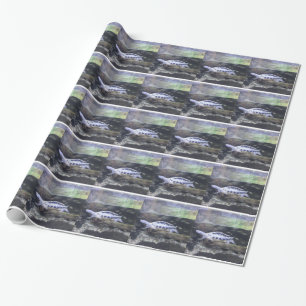 Cadeau Papier d'emballage de tortue