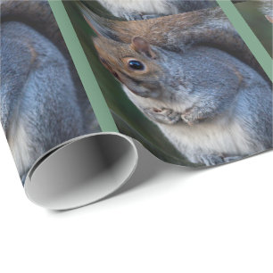 Cadeau Papier d'emballage Écureuil gris