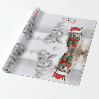 Cadeau Papier d'emballage Festive Dog Christmas