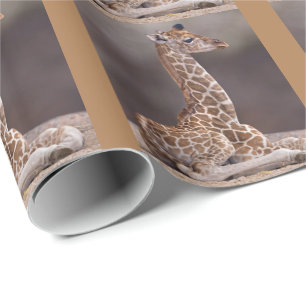 Cadeau Papier d'emballage Girafeau