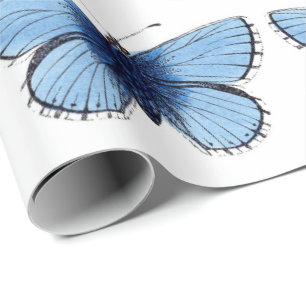 Cadeau Papier d'emballage - Papillon bleu