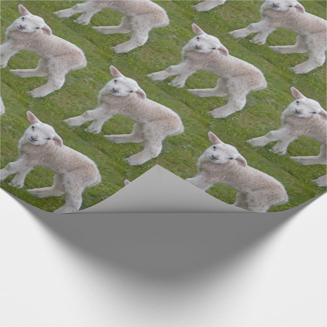 Cadeau Papier d'emballage Petit Agneau (Coin)