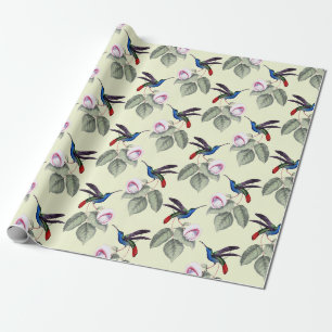 Cadeau Papier d'enlèvement de colibri
