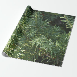 Cadeau Papier d'enlèvement de la forêt de pins